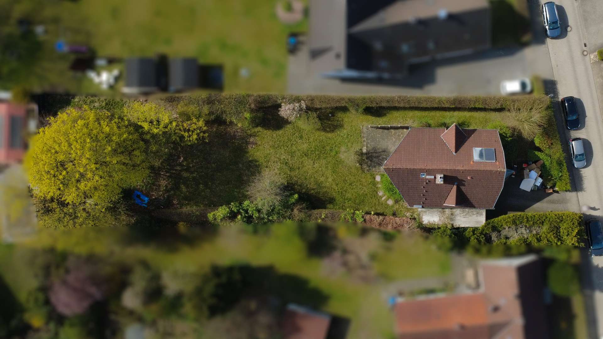 Vogelperspektive
